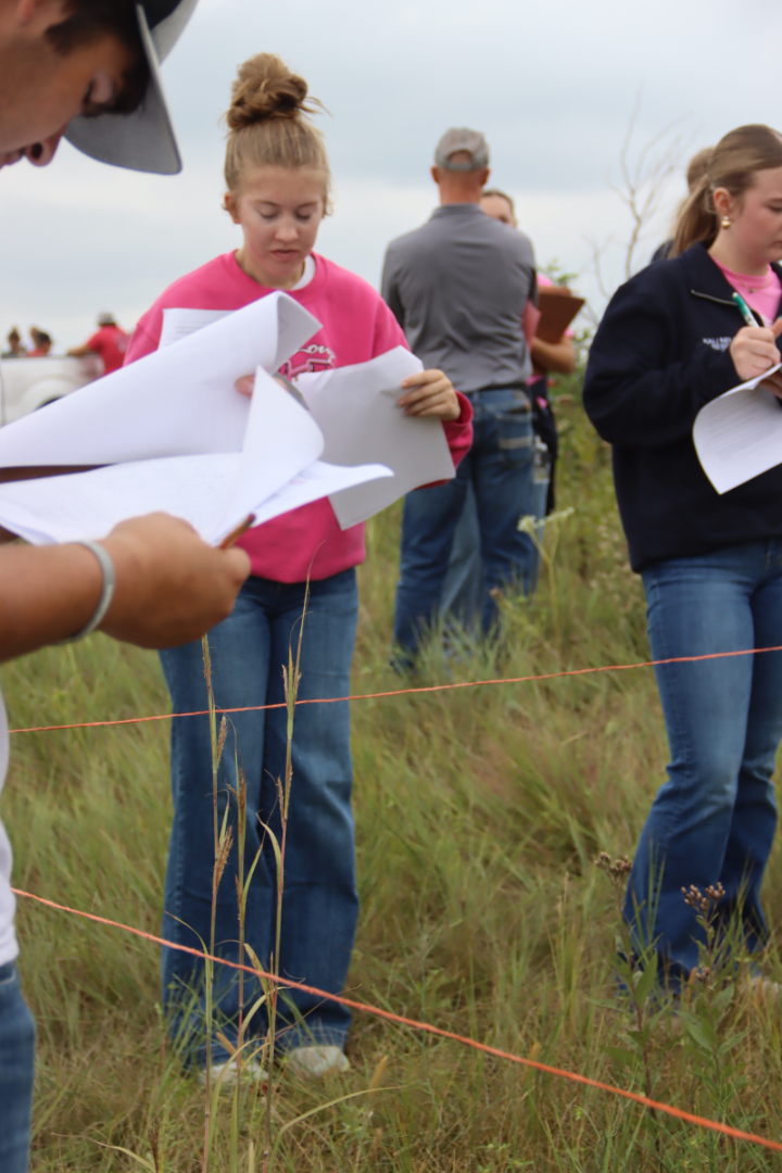 Alli Range Judging